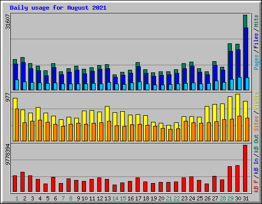 Daily usage for August 2021