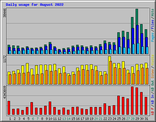 Daily usage for August 2022