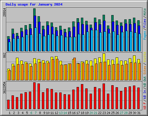 Daily usage for January 2024