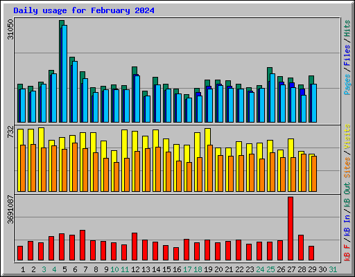 Daily usage for February 2024