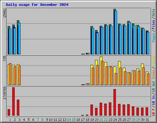 Daily usage for December 2024