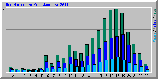 Hourly usage for January 2011