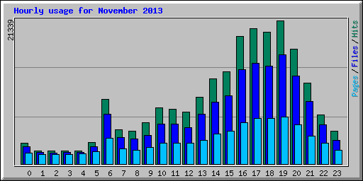 Hourly usage for November 2013