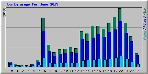 Hourly usage for June 2015