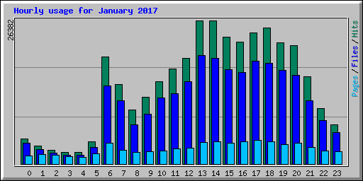 Hourly usage for January 2017