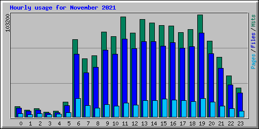 Hourly usage for November 2021