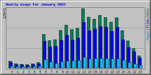 Hourly usage for January 2022