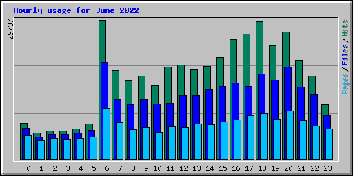 Hourly usage for June 2022