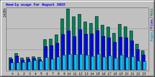 Hourly usage for August 2022