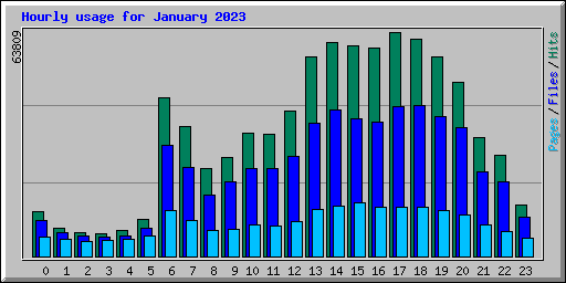 Hourly usage for January 2023