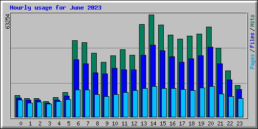 Hourly usage for June 2023