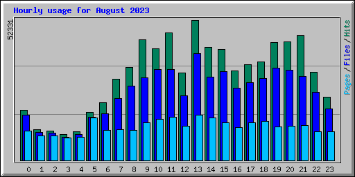 Hourly usage for August 2023