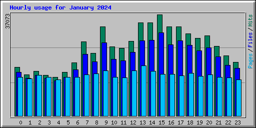 Hourly usage for January 2024