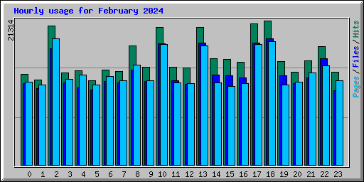 Hourly usage for February 2024