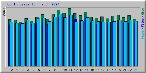 Hourly usage for March 2024