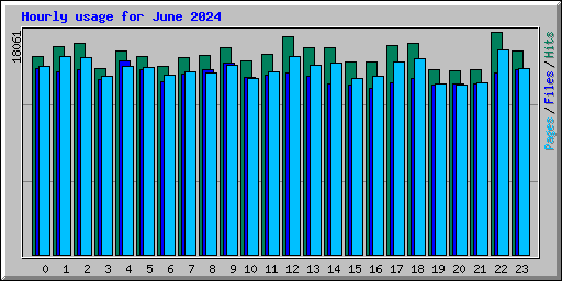 Hourly usage for June 2024