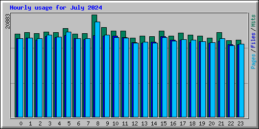 Hourly usage for July 2024