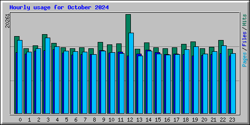 Hourly usage for October 2024