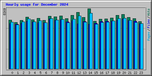 Hourly usage for December 2024