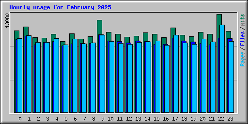Hourly usage for February 2025