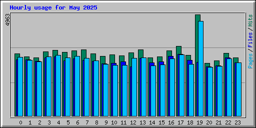Hourly usage for May 2025