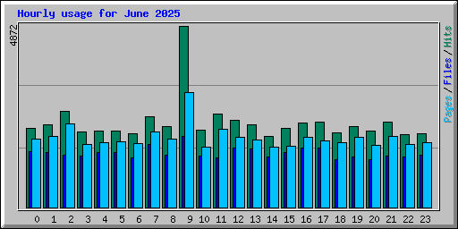 Hourly usage for June 2025