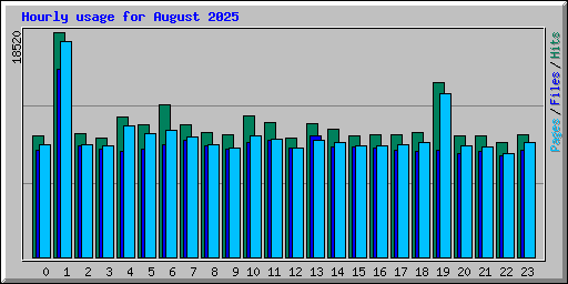 Hourly usage for August 2025