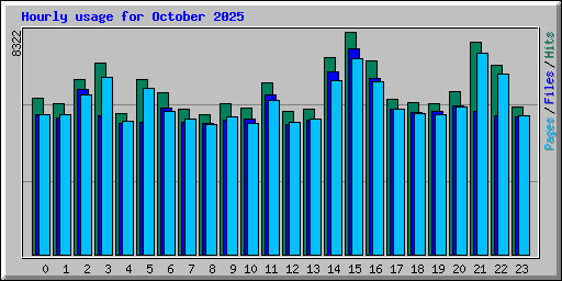Hourly usage for October 2025