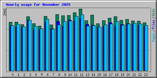 Hourly usage for November 2025