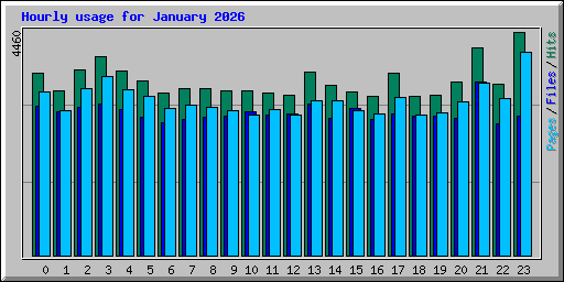 Hourly usage for January 2026