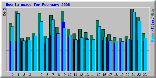 Hourly usage for February 2026